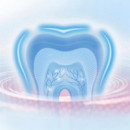 BRAUN Oral-b Professional Cepillo Pro Series 1 Clean (D305.523.3)