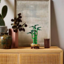 LEGO 10344 Bambú de la Suerte