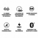 MARSHALL Major V Auricular BLUETOOTH Cream