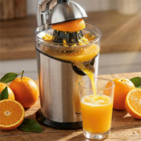 MOULINEX PC700D10 Exprimidor de Palanca Vitapress Pro 300W