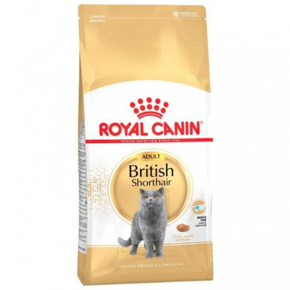 ROYAL CANIN Gato Adulto British Shorthair 2 Kg