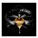 L'OREAL Volume Millon Lashes