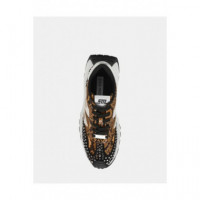 Zapatillas Supercampo-s  STEVE MADDEN