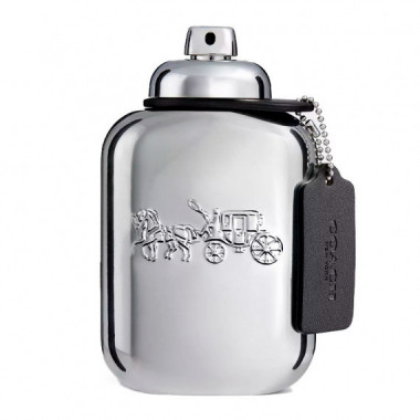 Pure Platinum  COACH