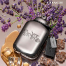 Pure Platinum  COACH