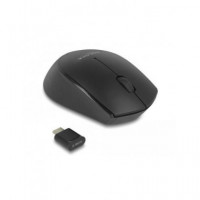 DELOCK Mini Raton Inalambrico con USB Tipo-c 100DPI Negro