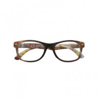 ZIPPO Gafas de Lectura +2.50 31Z-PR102-250