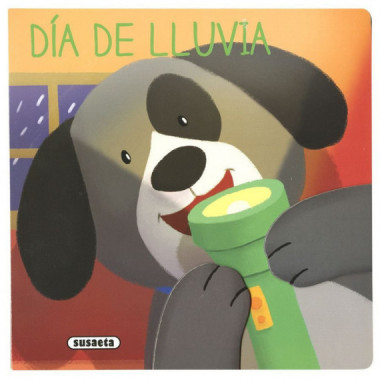 DIA DE LLUVIA