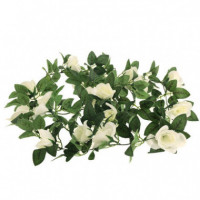 Terraza Y Jardín Guirnalda 3513421