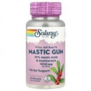 Mastic Gum 45 Capsulas SOLARAY