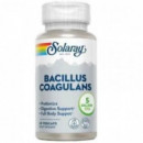 Bacillus Coagulans 60CAPS SOLARAY