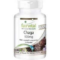 Chaga 500MG 90 Capsulas FAIRVITAL