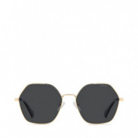 Gafas de Sol Pld 4205/G/S/X  POLAROID