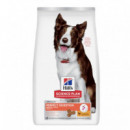 HILLS SP perro adulto medium Perfect digest 2.5 kg