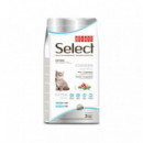 SELECT Gato Kitten 2 Kg