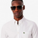 Camisa Oxford regular fit