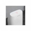 Bigdry 2000 Essential  CECOTEC