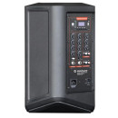 Altavoz Autoamplificado Coolsound PRO600 de 8'' con Batería y 2 Micrófonos (500W)