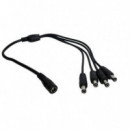 Cable de Alimentación Splitter 4 Cámaras Camview CCTV