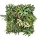 Jardín Vertical Artificial Sungarden Serie Bionia 50x50cm