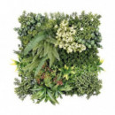 Jardín Vertical Sungarden Ecovis 50x50cm