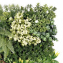 Jardín Vertical Sungarden Ecovis 50x50cm