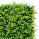 Jardín Vertical 50x50cm Serie Jardino Sungarden