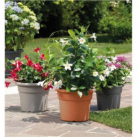 Maceta Redonda Artplast de Terracota, Diámetro 16 cm