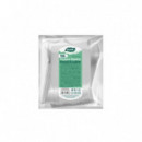 Pack 100 Cucharas de Postre Plásticas Reutilizables Blancas Algon