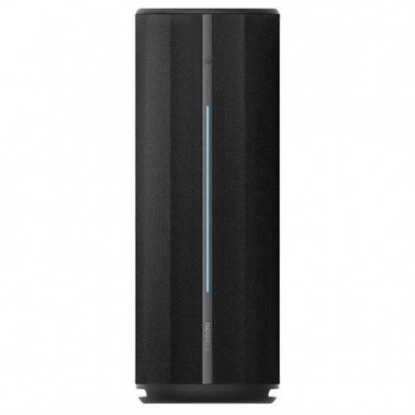 Altavoces XIAOMI Speaker 40W 2.0BLUETOOTH 5.3 Black
