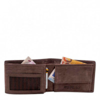 Cartera 208201  LOIS