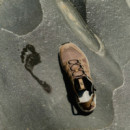 Zapatillas Techamphibian 5 - Calzado para agua