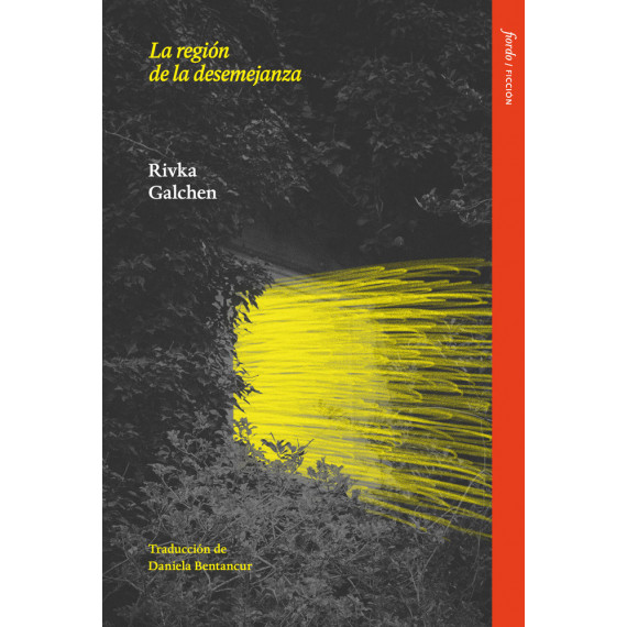 LA REGION DE LA DESEMEJANZA