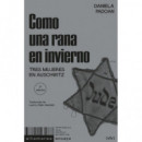 COMO UNA RANA EN INVIERNO