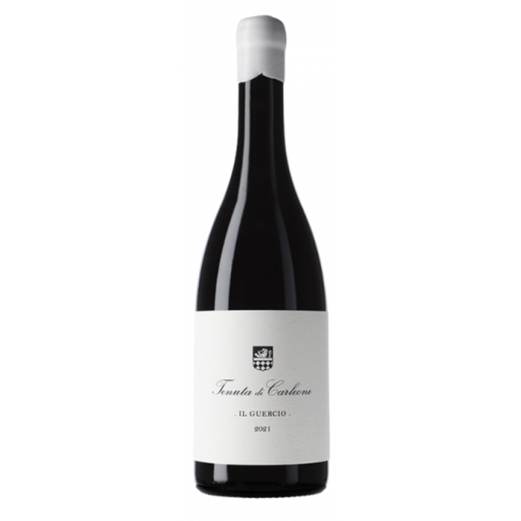 TENUTA DI CARLEONE Il Guercio 2022 - 75CL
