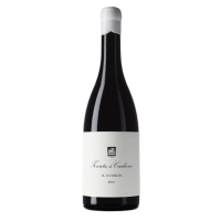 TENUTA DI CARLEONE Il Guercio 2022 - 75CL