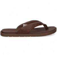 Flip Flop Piel Marron  UGG