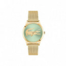 RELOJ CROCODELLE DORADO