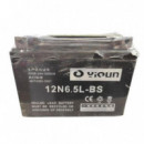 Batería de Repuesto para Triciclo BIWOND (ref. 51604)