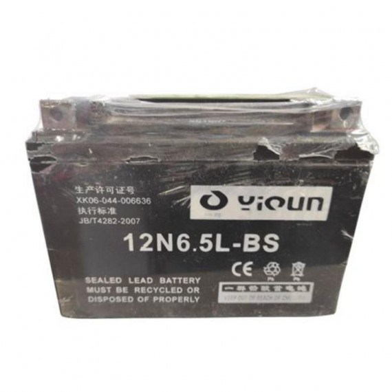 Batería de Repuesto para Triciclo BIWOND (ref. 51604)