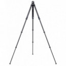 FALCAM KIT TRIPODE CARBONO TREE ROOT