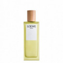 LOEWE Agua Eau de Toilette