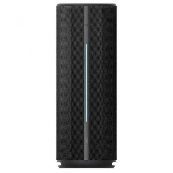 Altavoz BLUETOOTH XIAOMI Speaker QBH4275GL 40W con BLUETOOTH 5.3 Negro