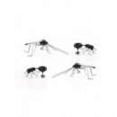 KIKKERLAND Set de 4 Imanes Diseño Insectos MG35