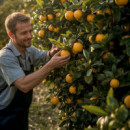 Sulfatadora de Bateria Litio AIRMEC 5 Litros