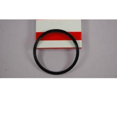 HAIDA ANILLA 72 A 67