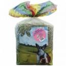 ICA Vit Pro Heno Menta y Escaramujo 500 Gr