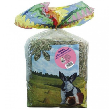 ICA Vit Pro Heno Menta y Escaramujo 500 Gr