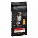 PROPLAN Perro Adulto Medium Pollo 14 Kg
