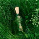 Wild Vetiver
